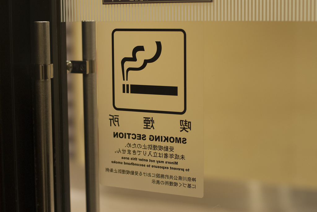 鏡面世界