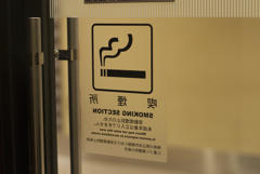 鏡面世界