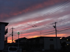 お写ん歩