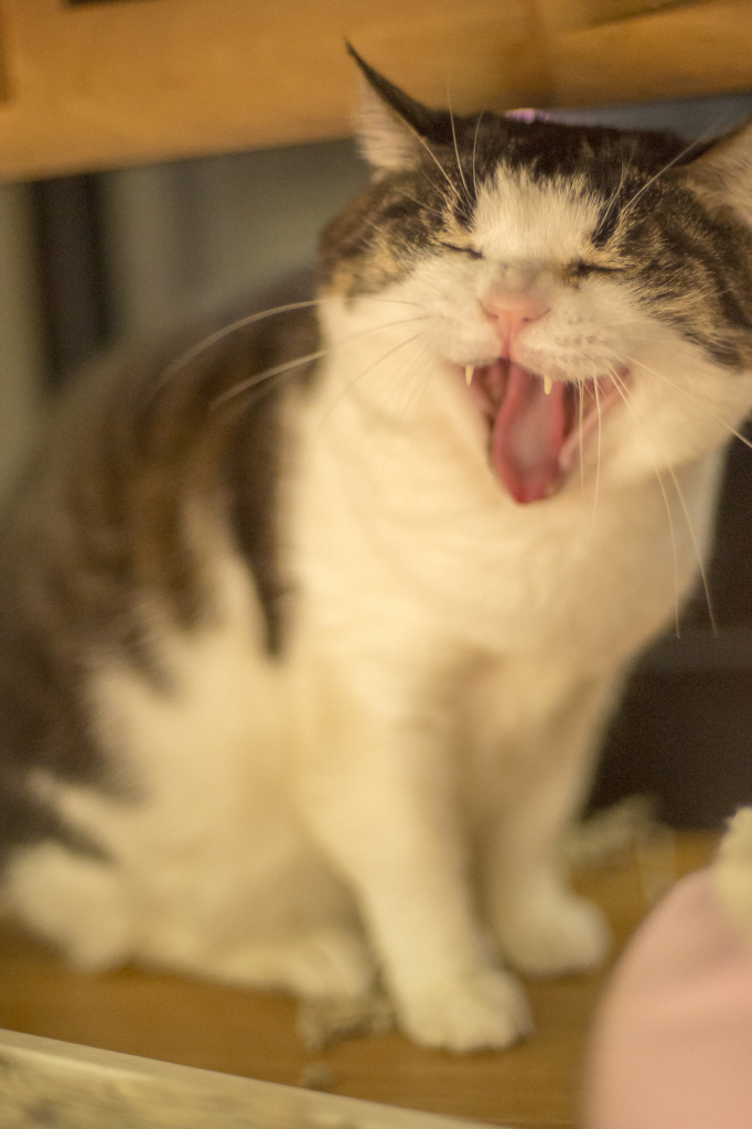 爆笑