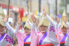 大和市　阿波踊り