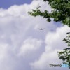 お写ん歩