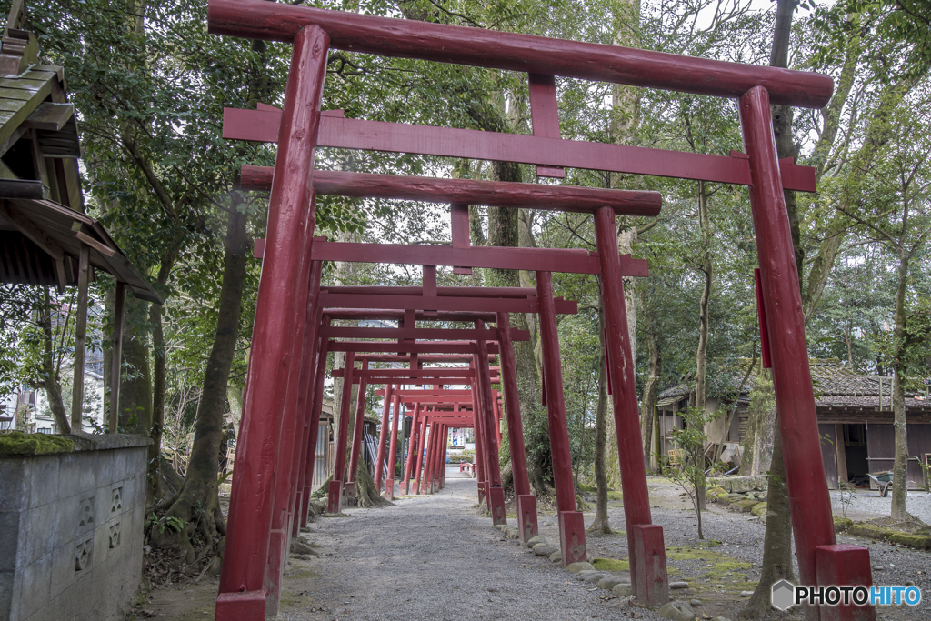 青井阿蘇神社で初詣