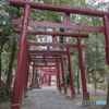 青井阿蘇神社で初詣