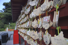 師匠とお写ん歩