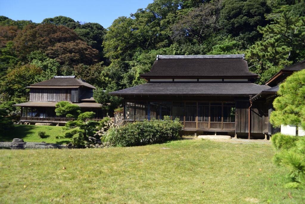 横浜三渓園、お写ん歩