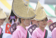 大和市　阿波踊り