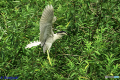 お写ん歩 お写ん歩