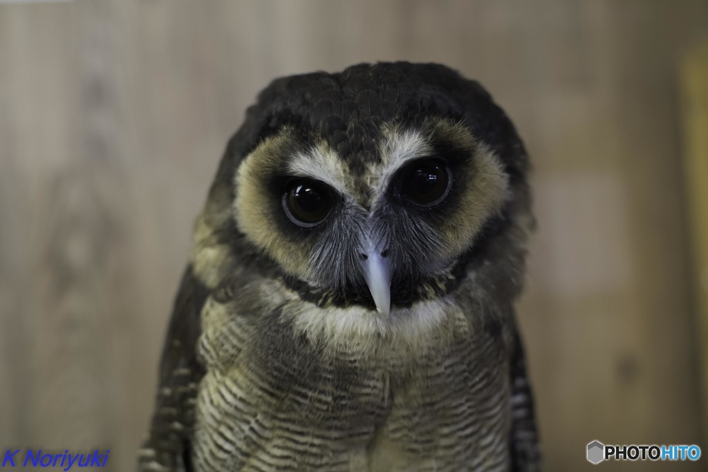 三井アウトレットパーク