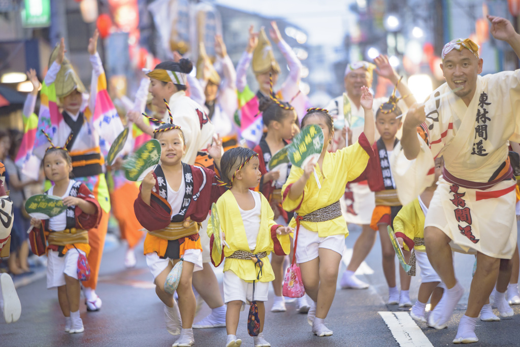 大和市　阿波踊り