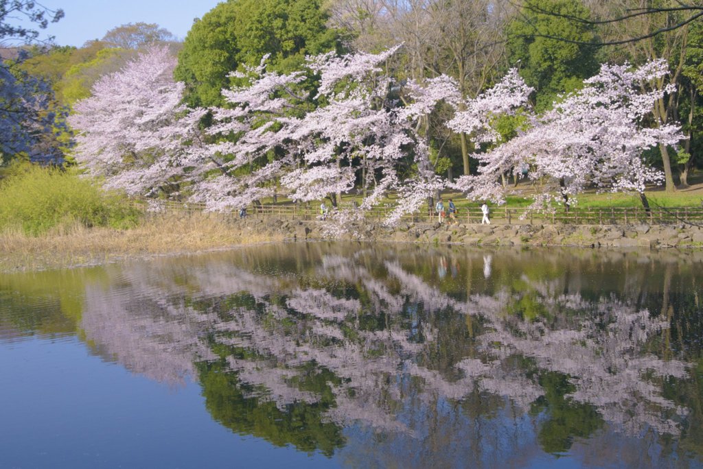 お写ん歩