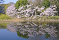 お写ん歩