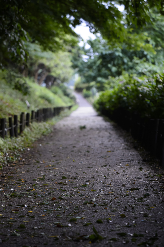 135mm 練習お写ん歩