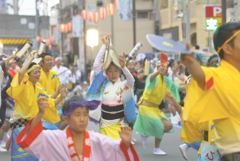 大和市　阿波踊り
