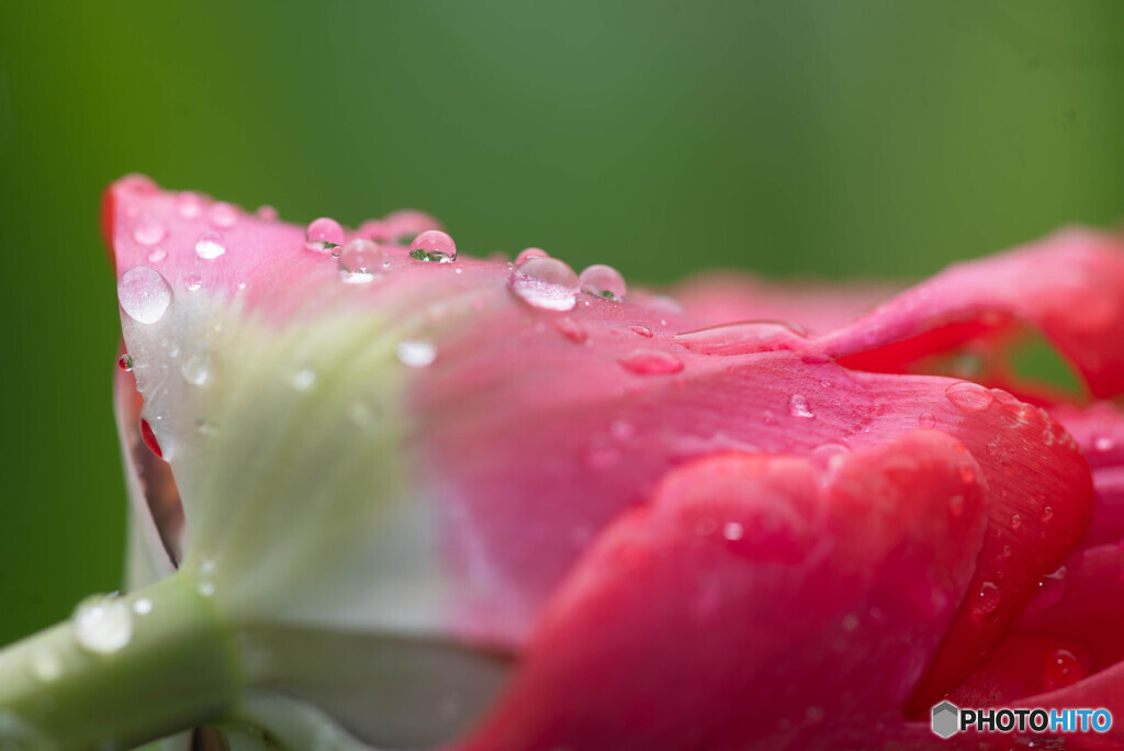 雨天お写ん歩