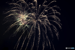 初めての花火撮影