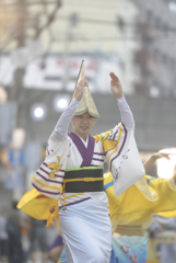 大和市　阿波踊り