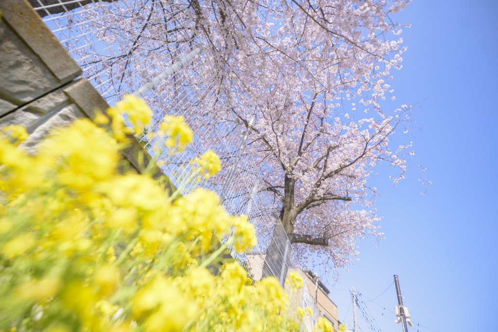 お写ん歩