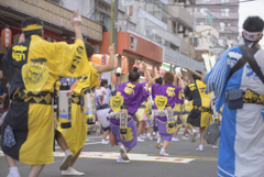 大和市　阿波踊り