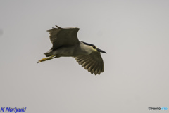 お写ん歩 お写ん歩