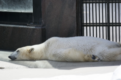 上の動物園～浅草～スカイツリー　弾丸ツアー　V3縛りｗ