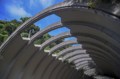 師匠とお写ん歩