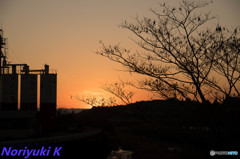 夕焼け