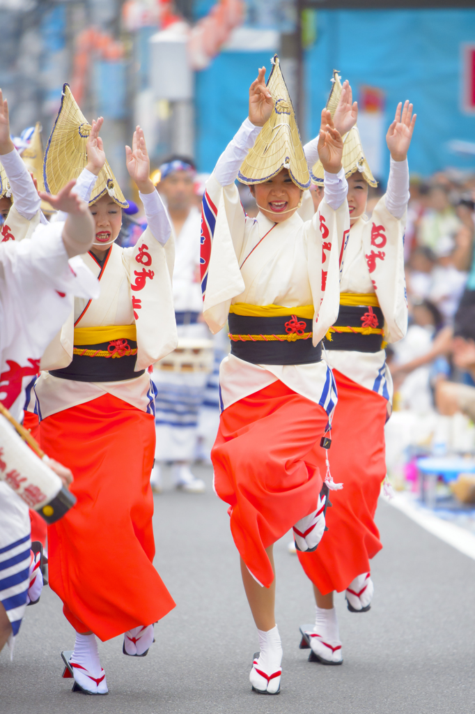 大和市　阿波踊り