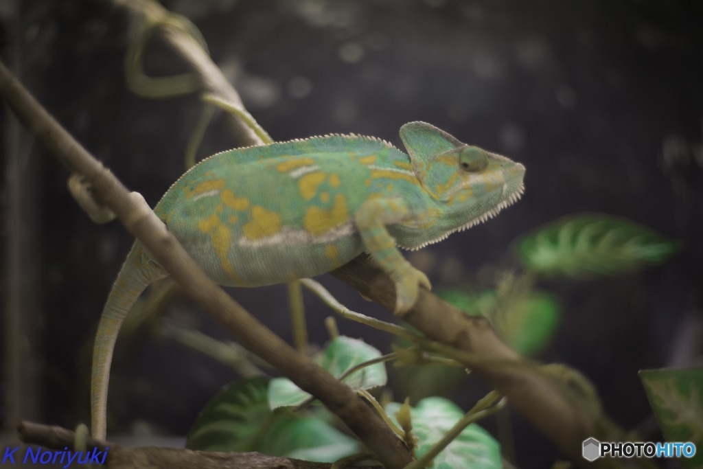 三井アウトレットパーク