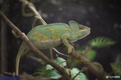 三井アウトレットパーク