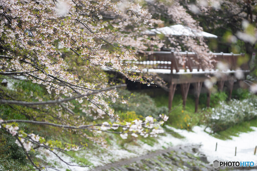 雨天お写ん歩