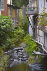 師匠とお写ん歩