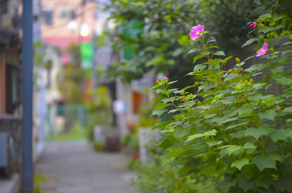 師匠とお写ん歩