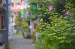 師匠とお写ん歩