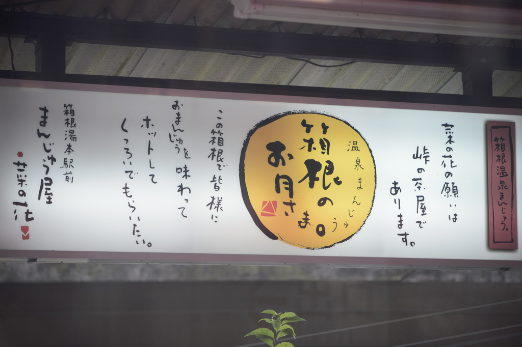 箱根湯本～強羅