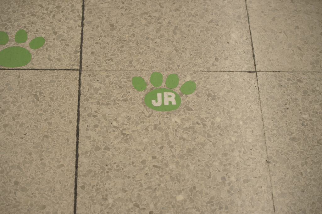 街角スナップ