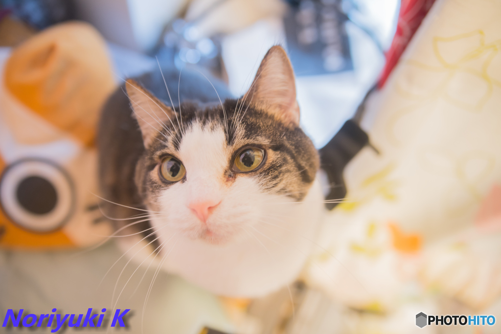 何してんのーー？