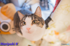 何してんのーー？