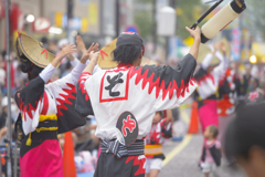 大和市　阿波踊り