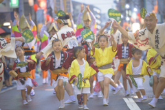 大和市　阿波踊り