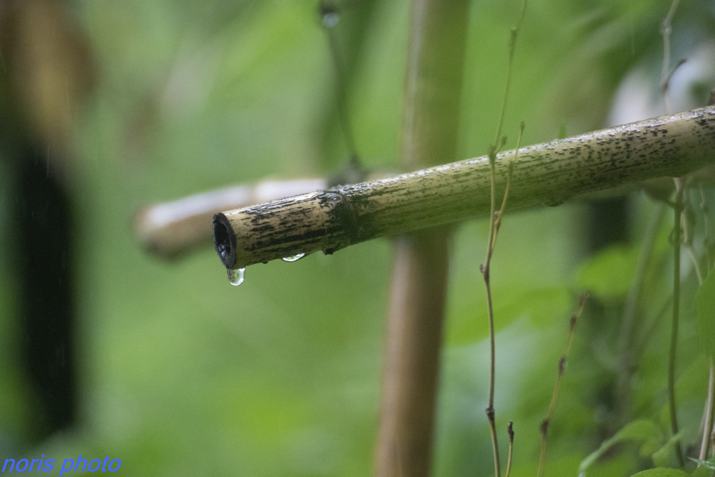 let's walk in the rain