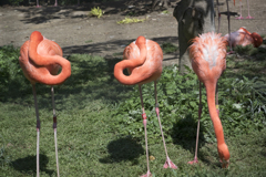 _上の動物園～浅草～スカイツリー　弾丸ツアー　V3縛りｗ