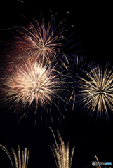 初めての花火撮影