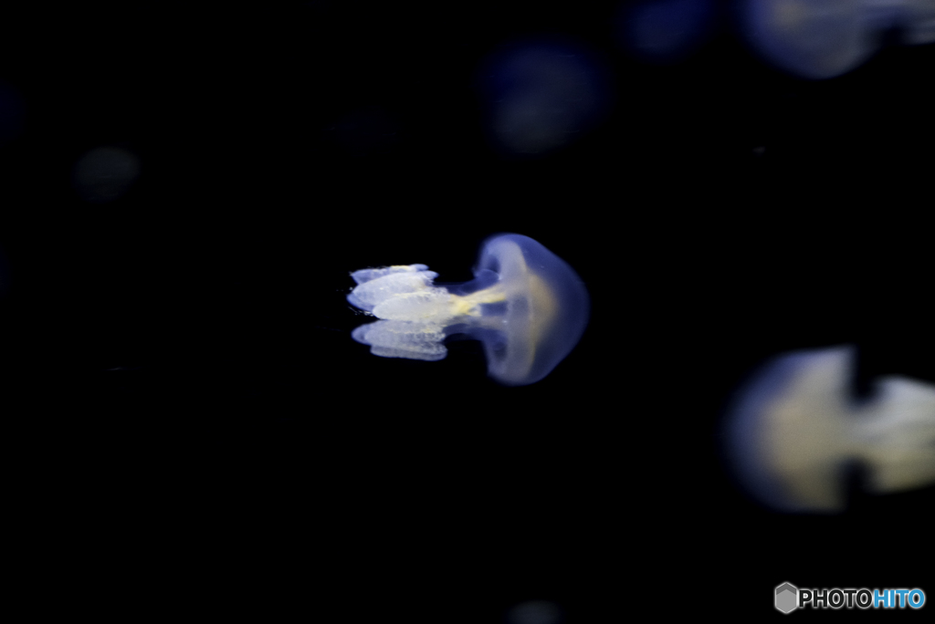357_3527