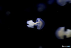 357_3527