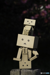 コラボ