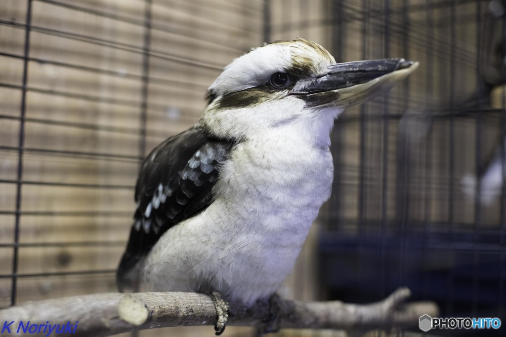 三井アウトレットパーク