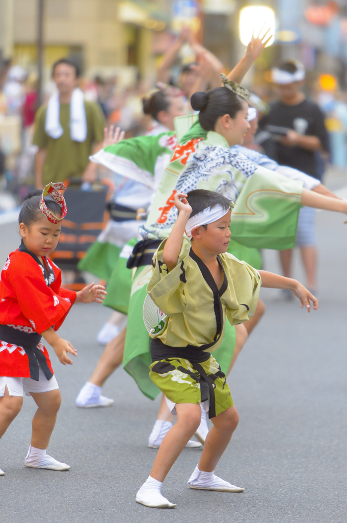 大和市　阿波踊り