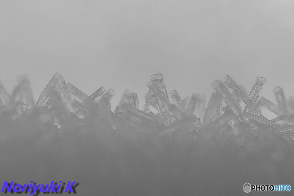 タムキュー恐るべし