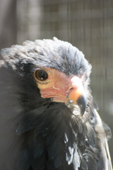 上の動物園～浅草～スカイツリー　弾丸ツアー　V3縛りｗ